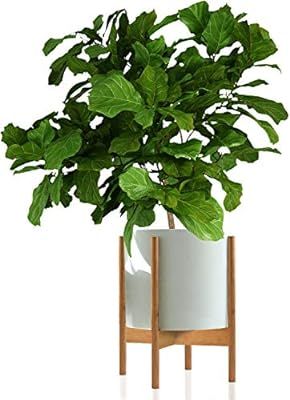 Fox & Fern Mid-Century Modern Plant Stand and Pot - Including White Ceramic Planter Pot - Drainag... | Amazon (US)