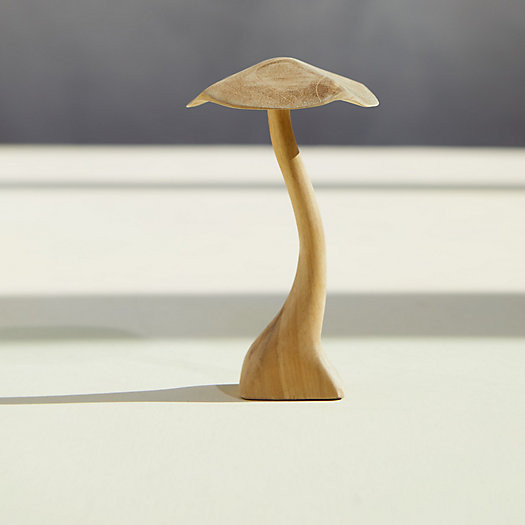 Teak Mushroom, Small | Terrain
