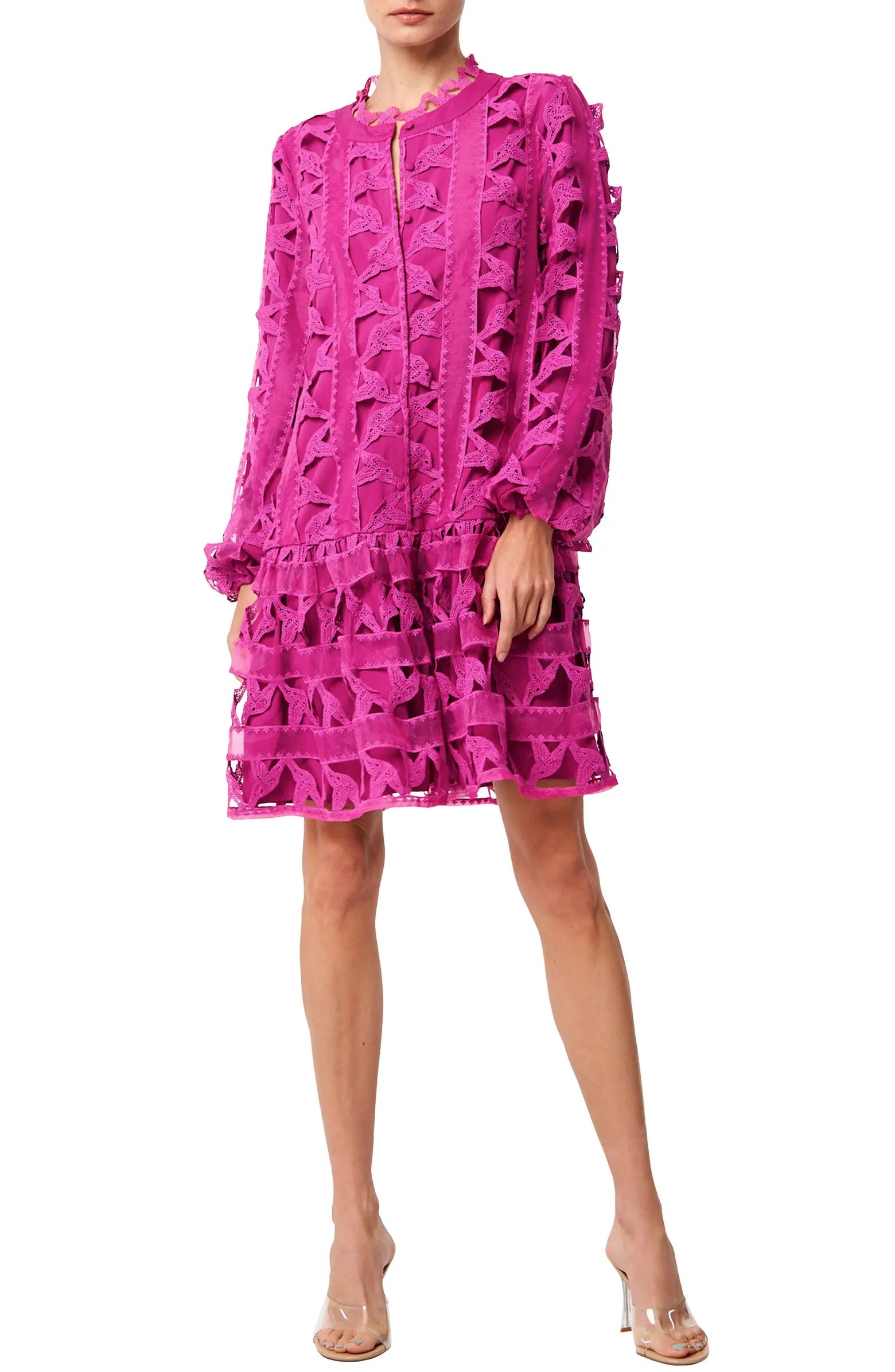 Wylla Humbird Lace & Organza Drop Waist Dress | Nordstrom