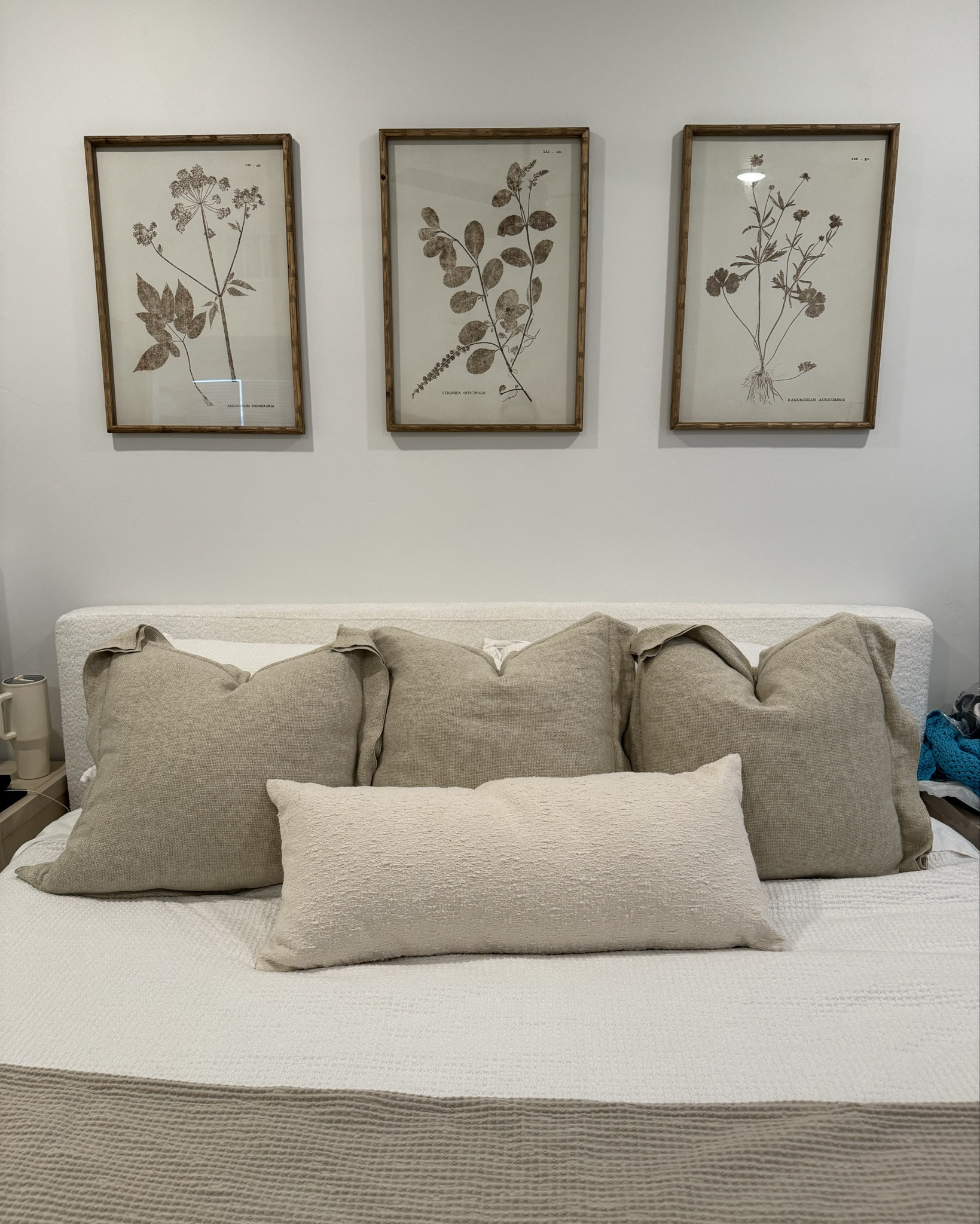 my new bedding !! 

#LTKfindsunder100 #LTKhome