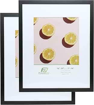 FrameWorks 2-Pack, 16x20 Matted to 11x14 Picture Frame, Black - Classic Photo Frame with Tempered... | Amazon (US)