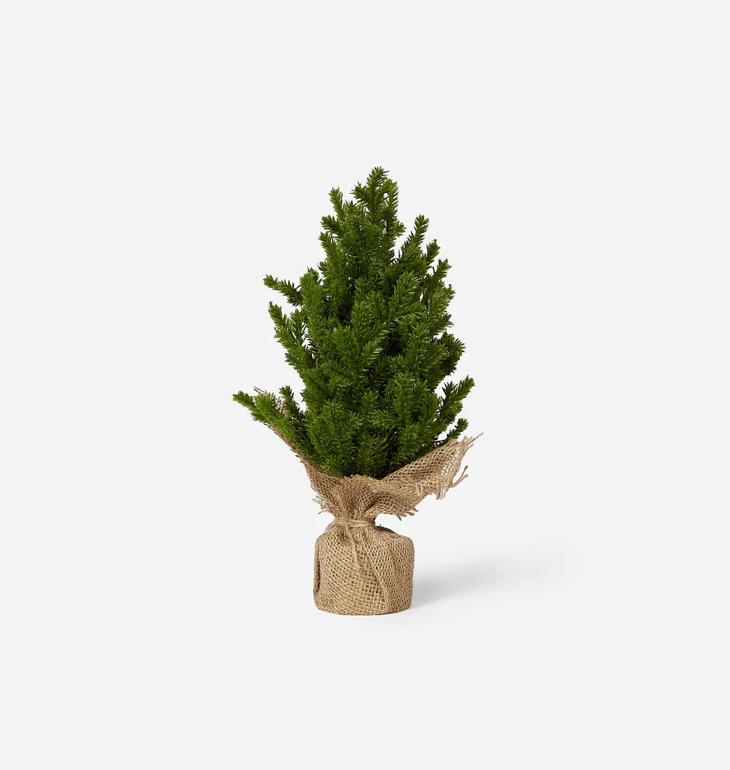 Faux Evergreen Tabletop Tree | Amber Interiors