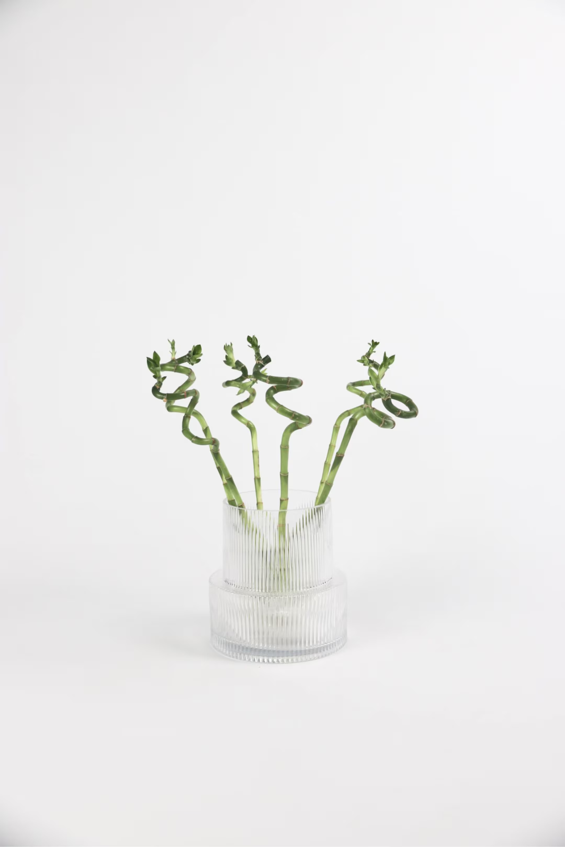 Lucky Bamboo Spirals - Set Of 6 | H&M (UK, MY, IN, SG, PH, TW, HK)