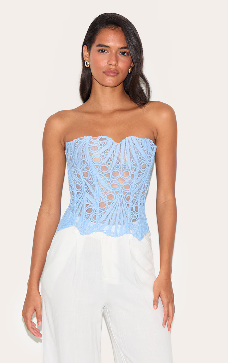 Sky Blue Textured Sheer Floral Lace Corset | Pretty Little Thing (Australia & New Zealand)
