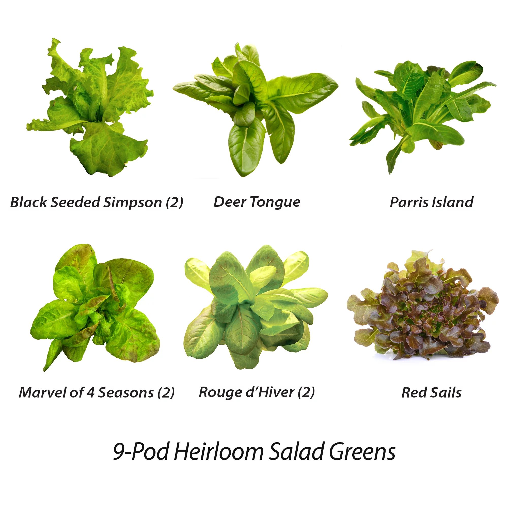 9-Pod Heirloom Salad Greens | Walmart (US)