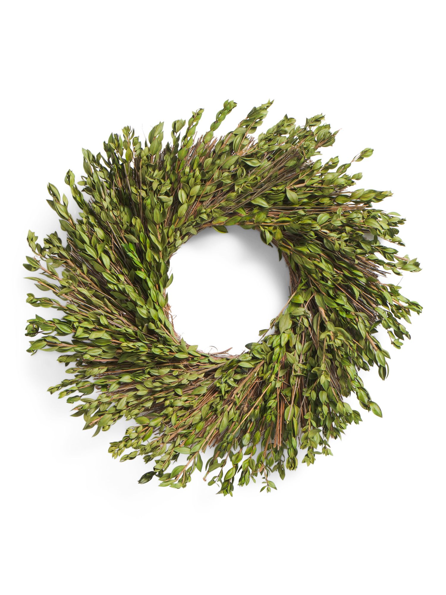 22in Preserved Natural Myrtle Wreath | TJ Maxx