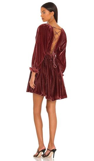 Daphne Velvet Sleeve Dress in Roan Rouge | Revolve Clothing (Global)