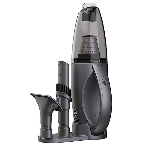 Amazon.com - Brigii Pet Hair Vacuum with Anti-Tangle Hair Tool, Cordless Stairs Vacuum, 12KPA/25A... | Amazon (US)