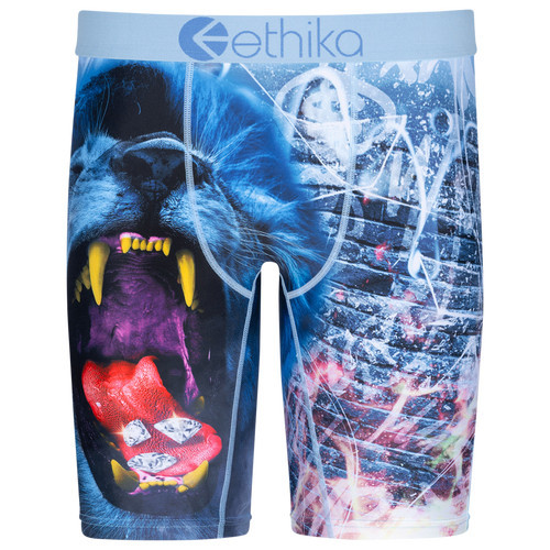 Boys Ethika Ethika Lion Brix Underwear - Boys' Grade School Blue/Blue Size S | Kids Foot Locker (US)