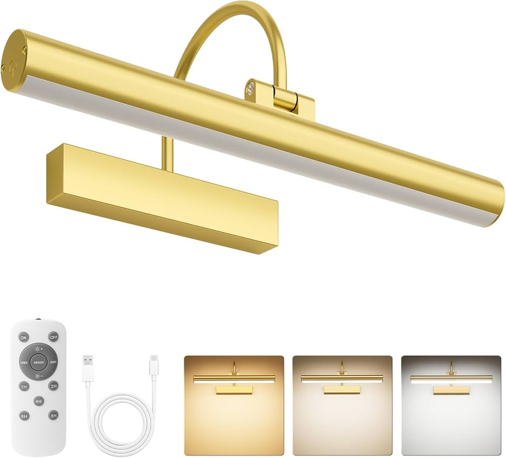 Bridika Picture Light for Wall with Remote, Rechargeable Battery Operated Picture Light, 3 Color ... | Amazon (US)