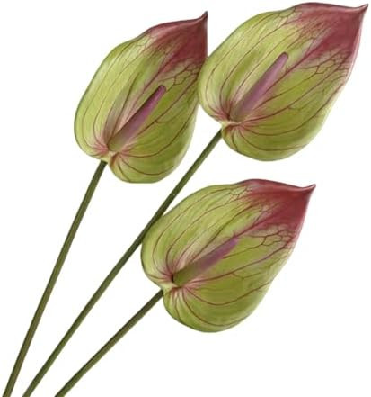 3Pcs Artificial Anthurium Lily Flowers for Home Decor Dining Table Centerpiece Prom Party Decor (... | Amazon (US)