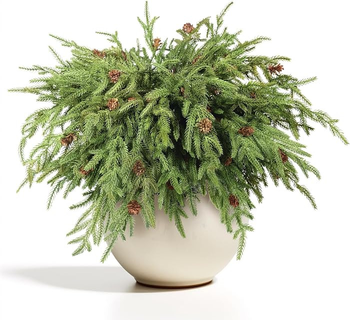WBHome 12 Pcs Christmas Norfolk Pine Branches with Pine Cones - 18" Real Touch Norfolk Pine Branc... | Amazon (CA)