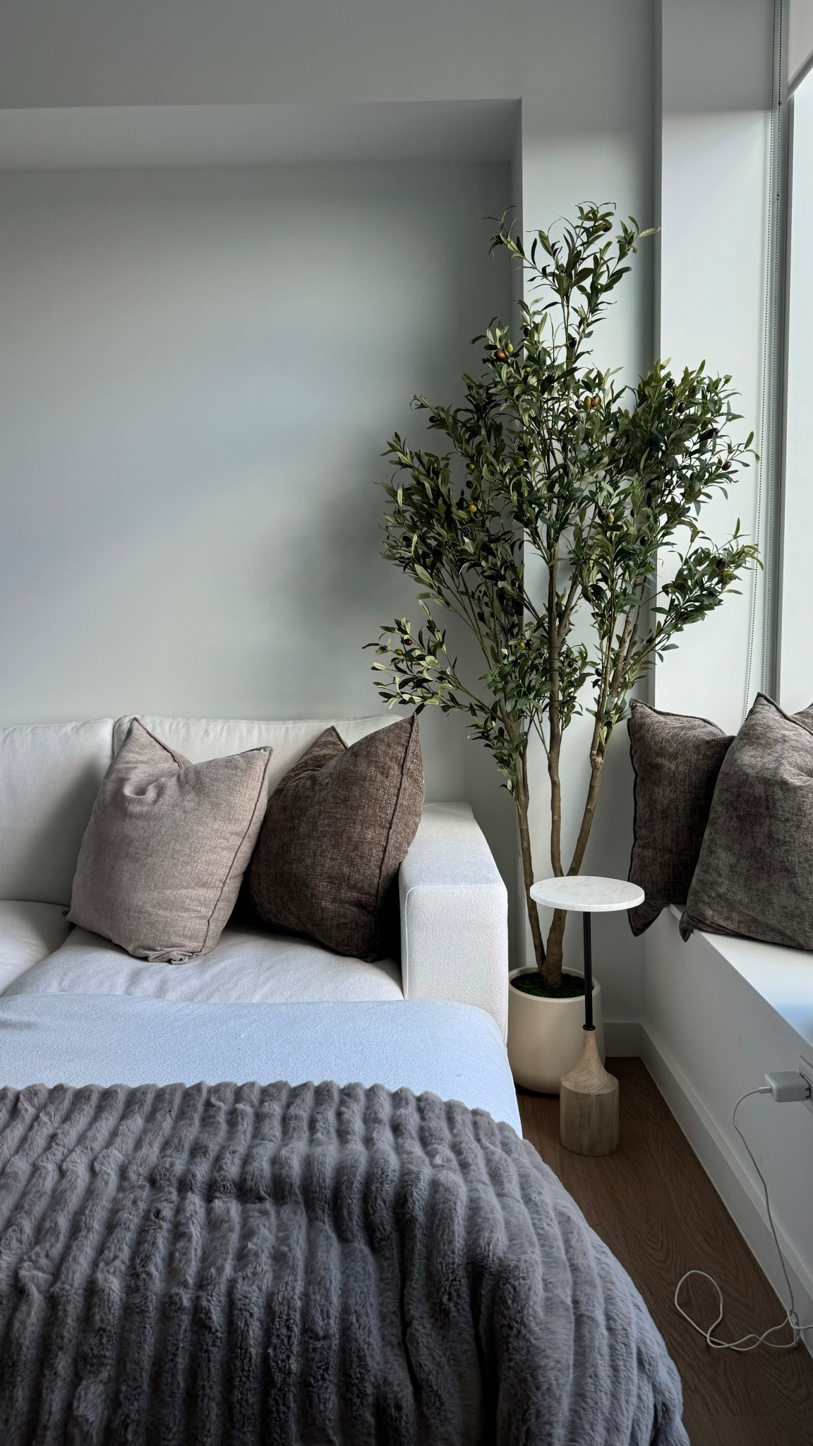 Olive Tree Home Decor 🌿☁️ #livingroom #homedecor #olivetree #apartmentfinds 