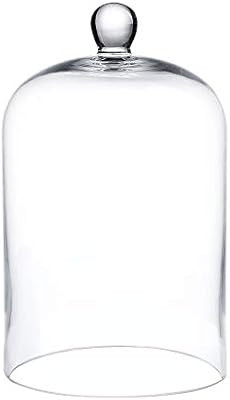 Whole Housewares 6"x10" Clear Glass Bell Jar Dome-Glass Cloche-Glass Dome | Amazon (US)