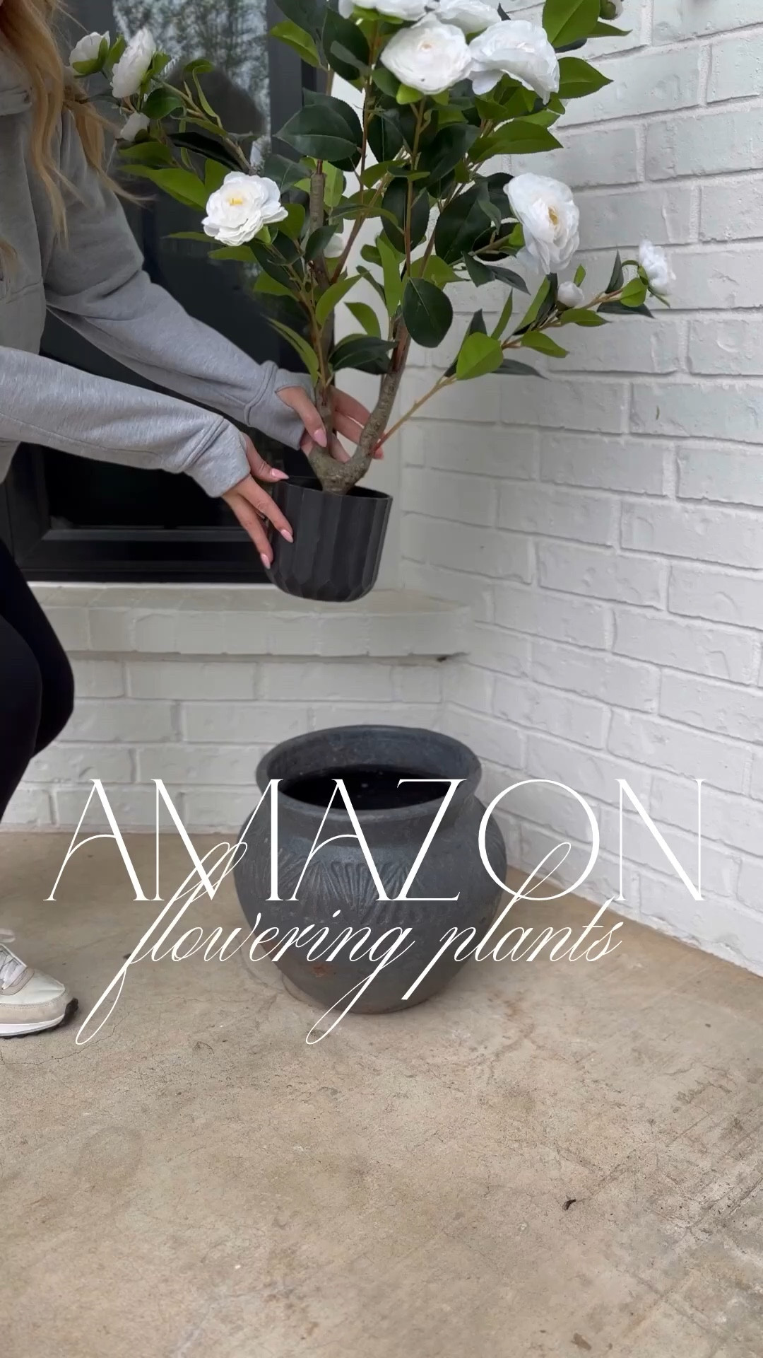 These gorgeous Amazon flowering plants are FINALLY back in stock and on sale! Perfect for front porch decor!

#LTKHome #LTKFindsUnder100 #LTKStyleTip