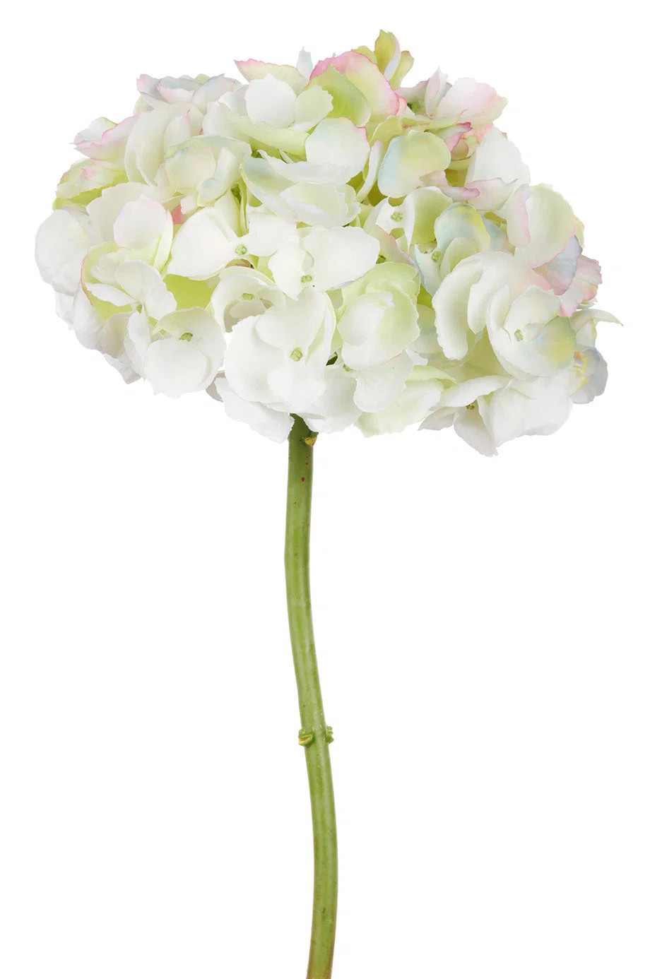HYDRANGEA SHORT STEM (Set of 6) | Joss & Main