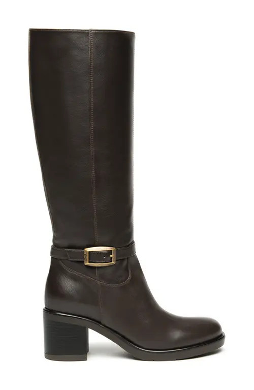NeroGiardini Tall Buckle Boot in Chocolate at Nordstrom, Size 9Us | Nordstrom