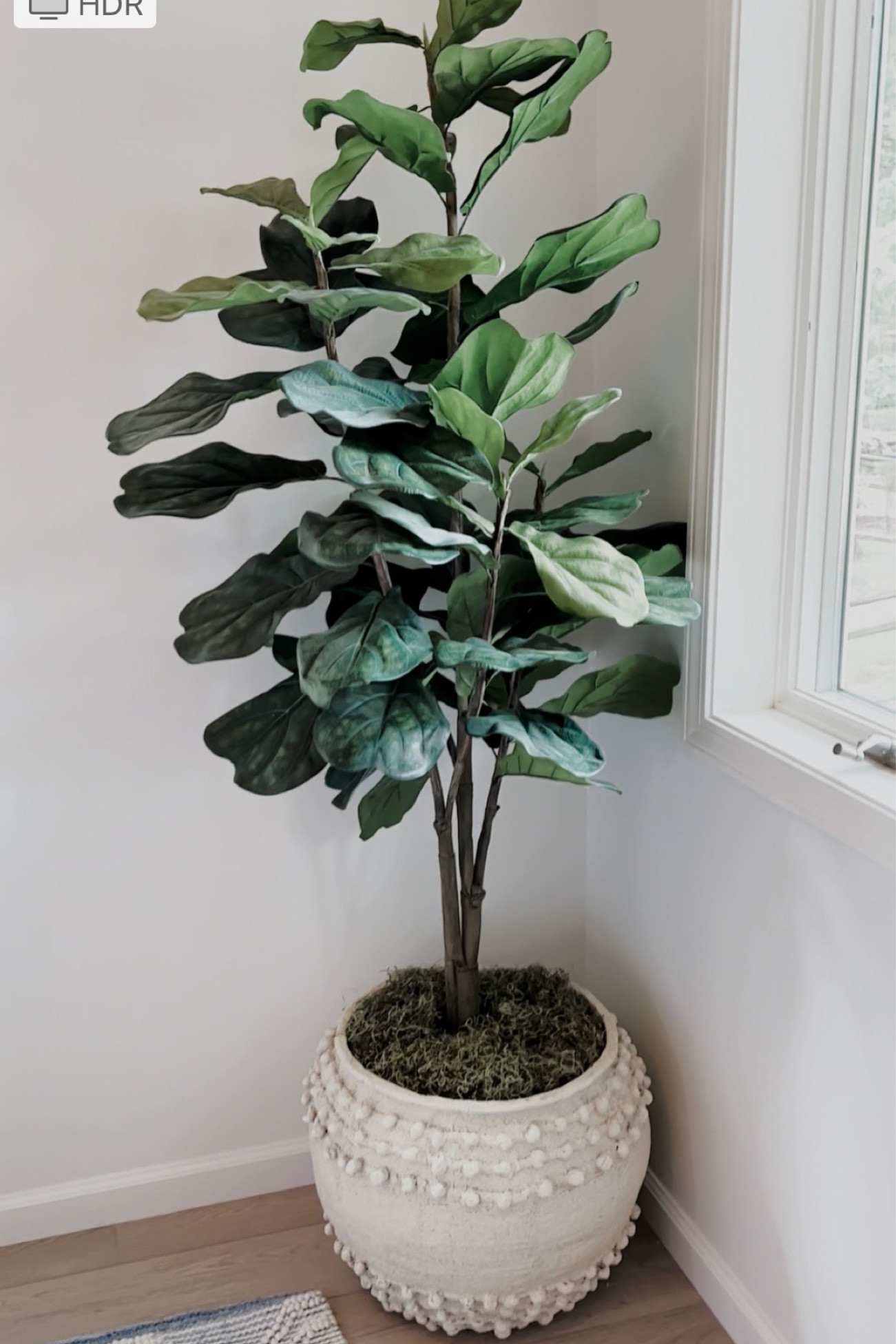 The perfect ceramic pot DOES exist!

#LTKstyletip #LTKxAnthro #LTKhome