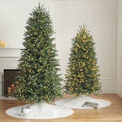 Windsor Noble Fir Slim Profile Tree | Frontgate | Frontgate