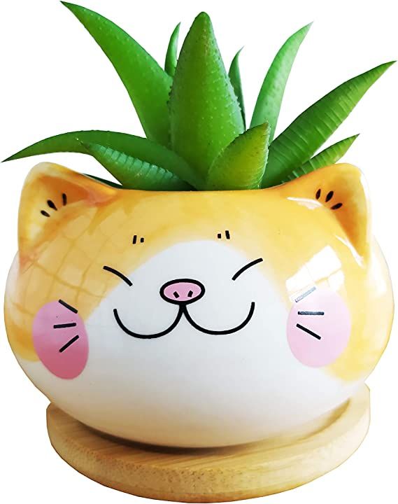 Cute Cartoon Animal Cat Shaped Ceramic Succulent Cactus Flower Plant Pots with Bamboo Tray (Plant... | Amazon (US)