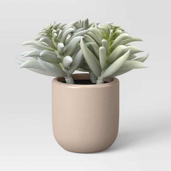 Artificial Mini Succulent in Ceramic Pot - Project 62™ | Target