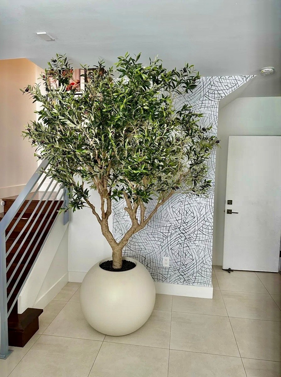 home
home decor
livingroom
dining room 
bathroom
bedroom

#LTKvlog #LTKSaleAlert #LTKHome