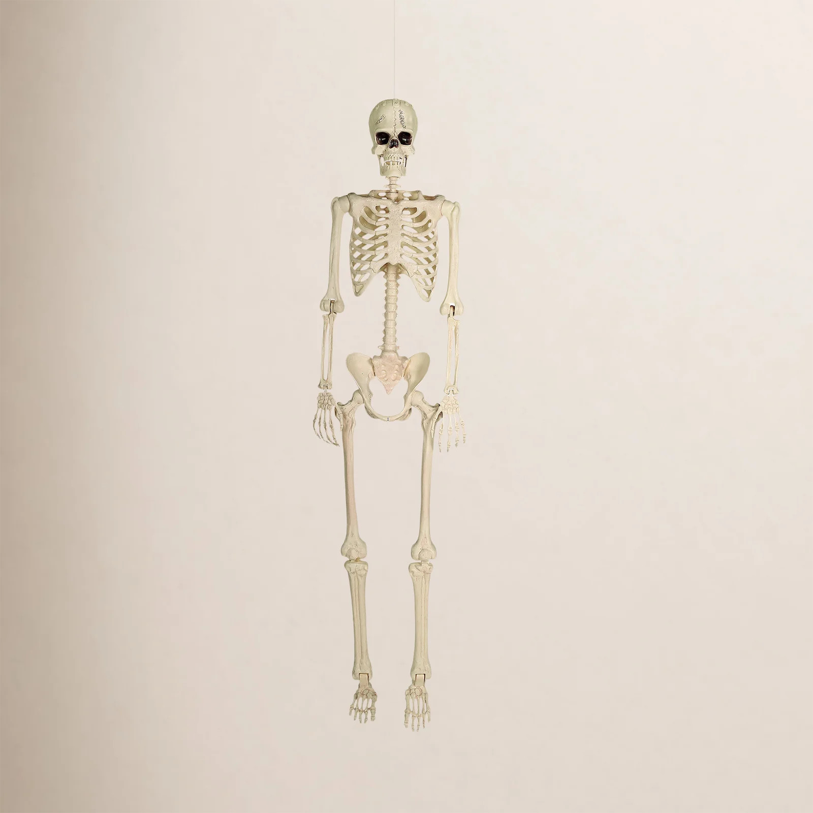 74" Franken Skeleton, Lifesize Halloween Posable Skeleton for Outside | Birch Lane