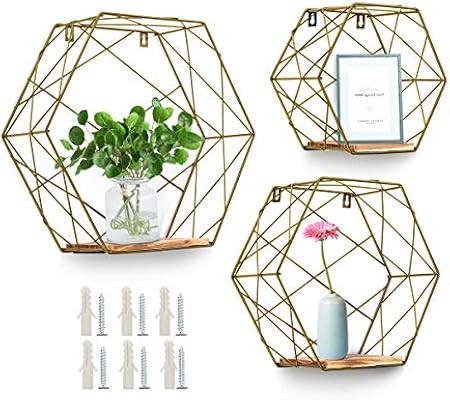 AGSIVO Wall Mounted Hexagonal Floating Shelves Farmhouse Storage Shelves for Wall,Bedroom, Living... | Amazon (US)