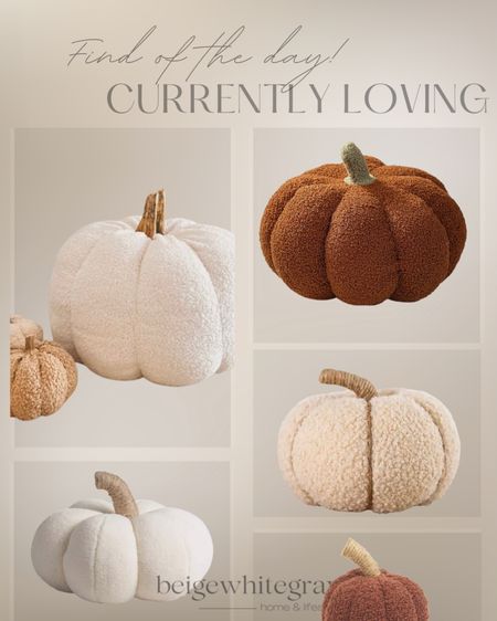  Currently loving all the beautiful Sherpa pumpkins!! So versatile as an accent throw pillow or simply placed on a table as decor for fall. 

#LTKhome #LTKSeasonal #LTKunder100