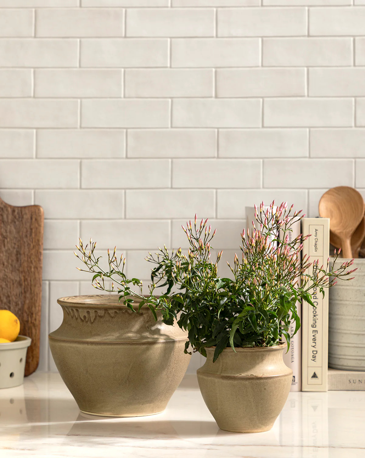 Liora Pot | McGee & Co. (US)