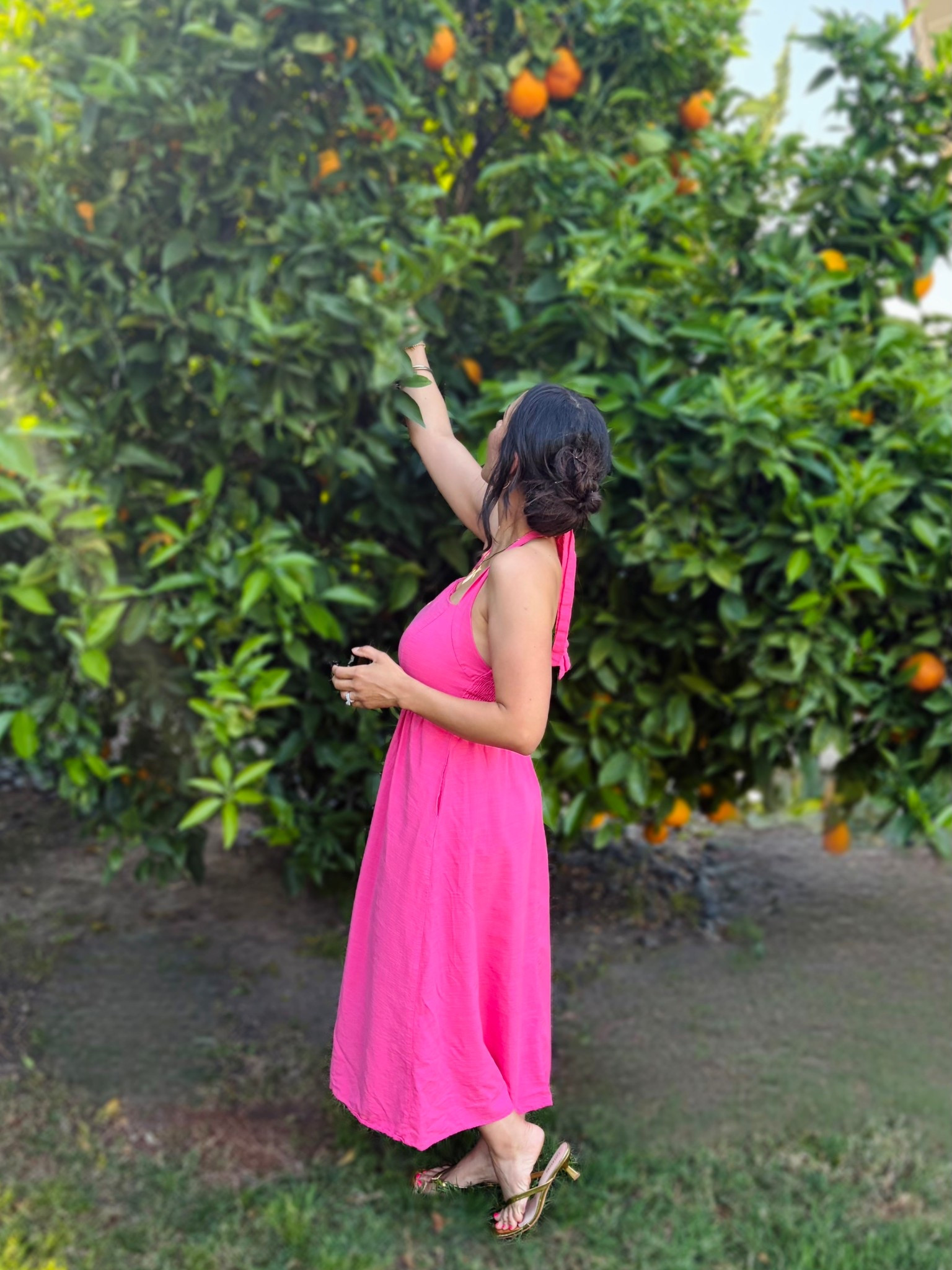 Backyard fruit just hits different. 🍊 What trees are growing in your yard right now?

#LTKSeasonal #LTKmomlife #LTKBeauty