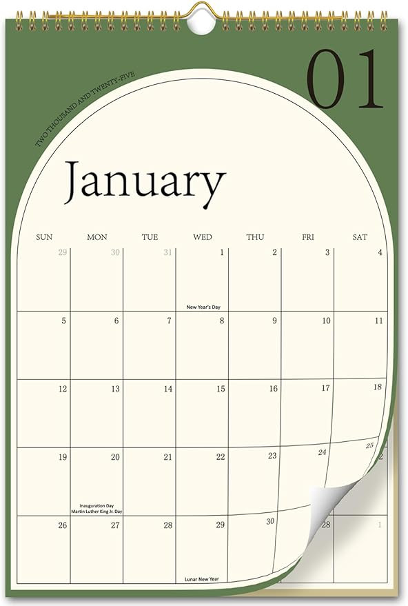 2025 Wall Calendar - Aesthetic Calendar from January 2025 to December 2025, Large Hanging Calenda... | Amazon (US)
