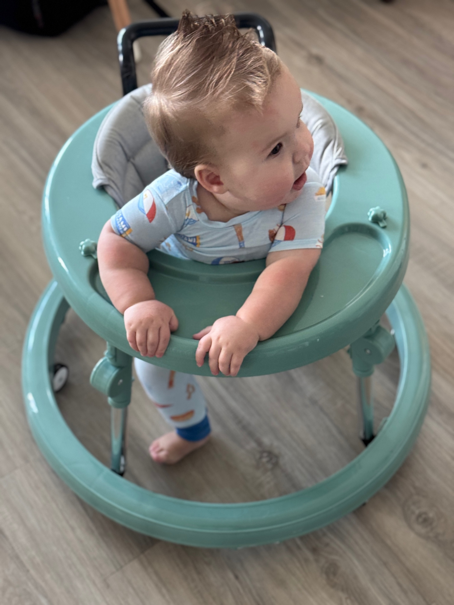 Our favorite walker! Fully collapsible, wheels all around and adjustable.

#LTKBaby #LTKKids #LTKBump