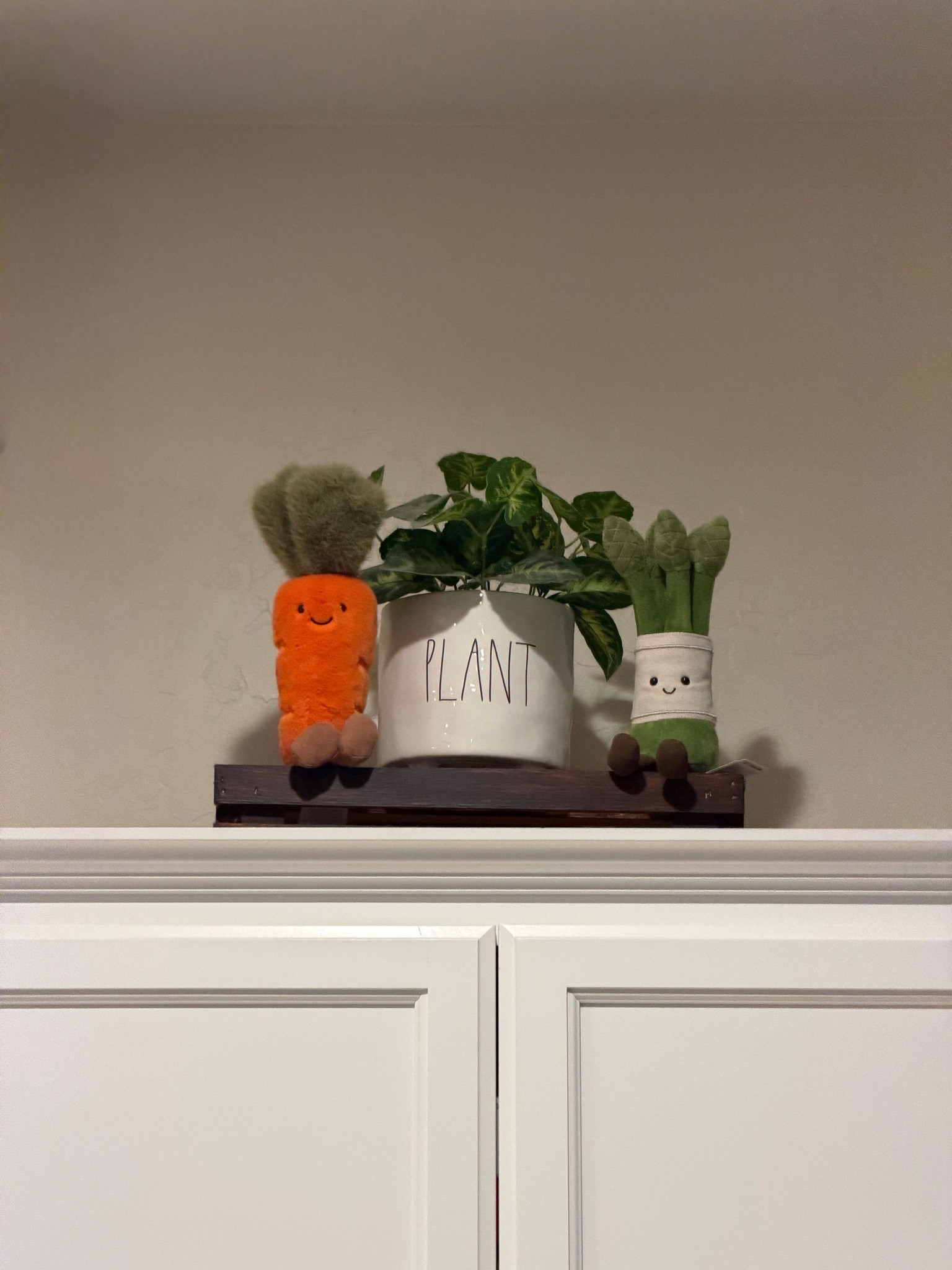 New addition’s 🥕✨