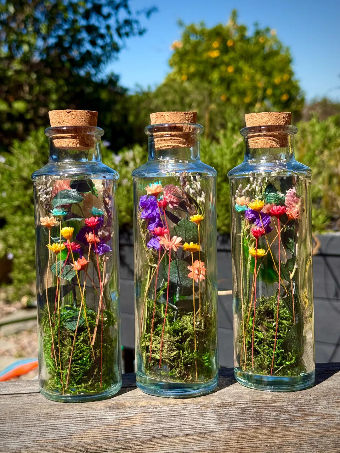 Wildflower Meadow Terrarium: Dried Flowers - Bookshelf & Desk Decor, Flower Vase, Gifts For Her | Etsy (US)