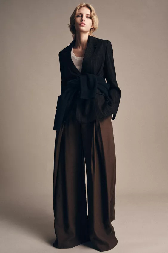 ZW COLLECTION FRONT PLEAT TROUSERS | Zara UK