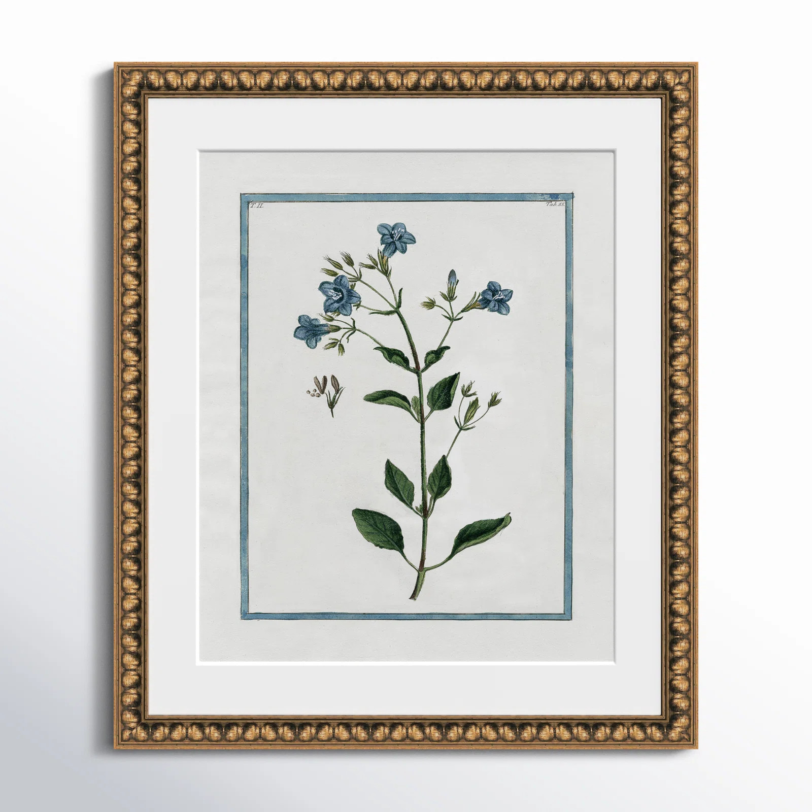 Colombe "Shabby Elegance Botanical II" Print | Birch Lane