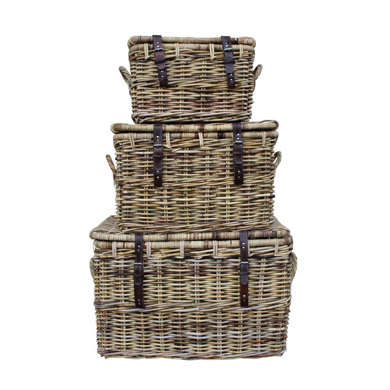 Ameer 3 Piece Wicker Trunk Set | Wayfair North America