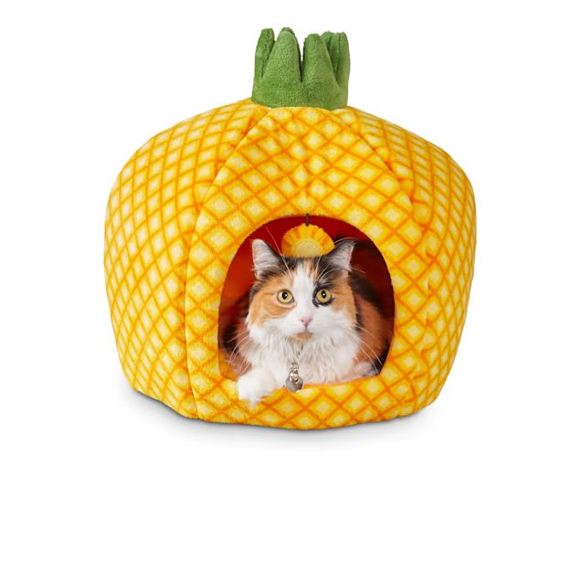 You & Me Pineapple Cat Bed, 18" D | Petco