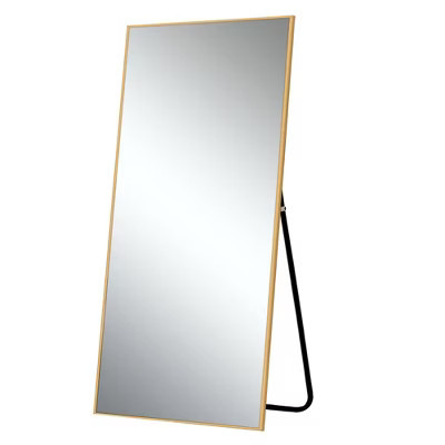 HomeRoots 71" Gold Metal Framed Standing Mirror | Target