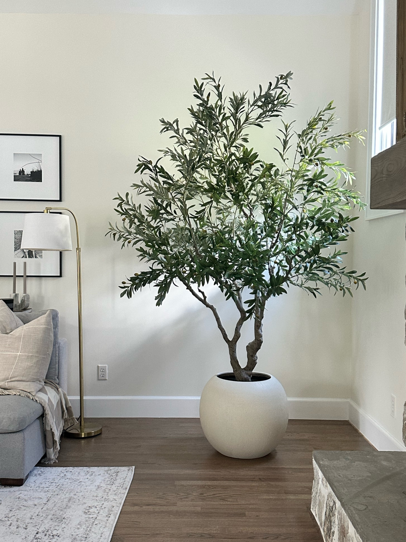 Favorite faux trees, great for filling an empty corner 

#LTKHome #LTKSaleAlert #LTKStyleTip