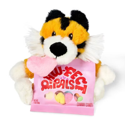 Valentine's Tiger Plush with Rainbow Hearts Candy - 1oz - Favorite Day™ | Target