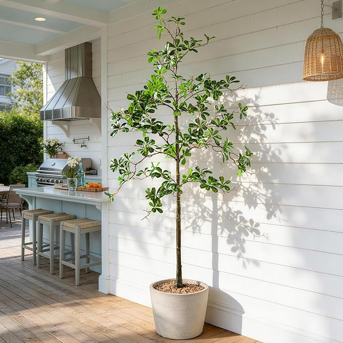 Artificial Black Olive Tree - 5FT Faux Olive Trees with White Planter Potted Tall Fake Tree Floor... | Amazon (CA)