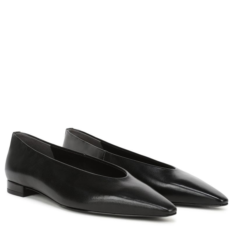 Emory Pointed Toe Ballet Flat | Sam Edelman