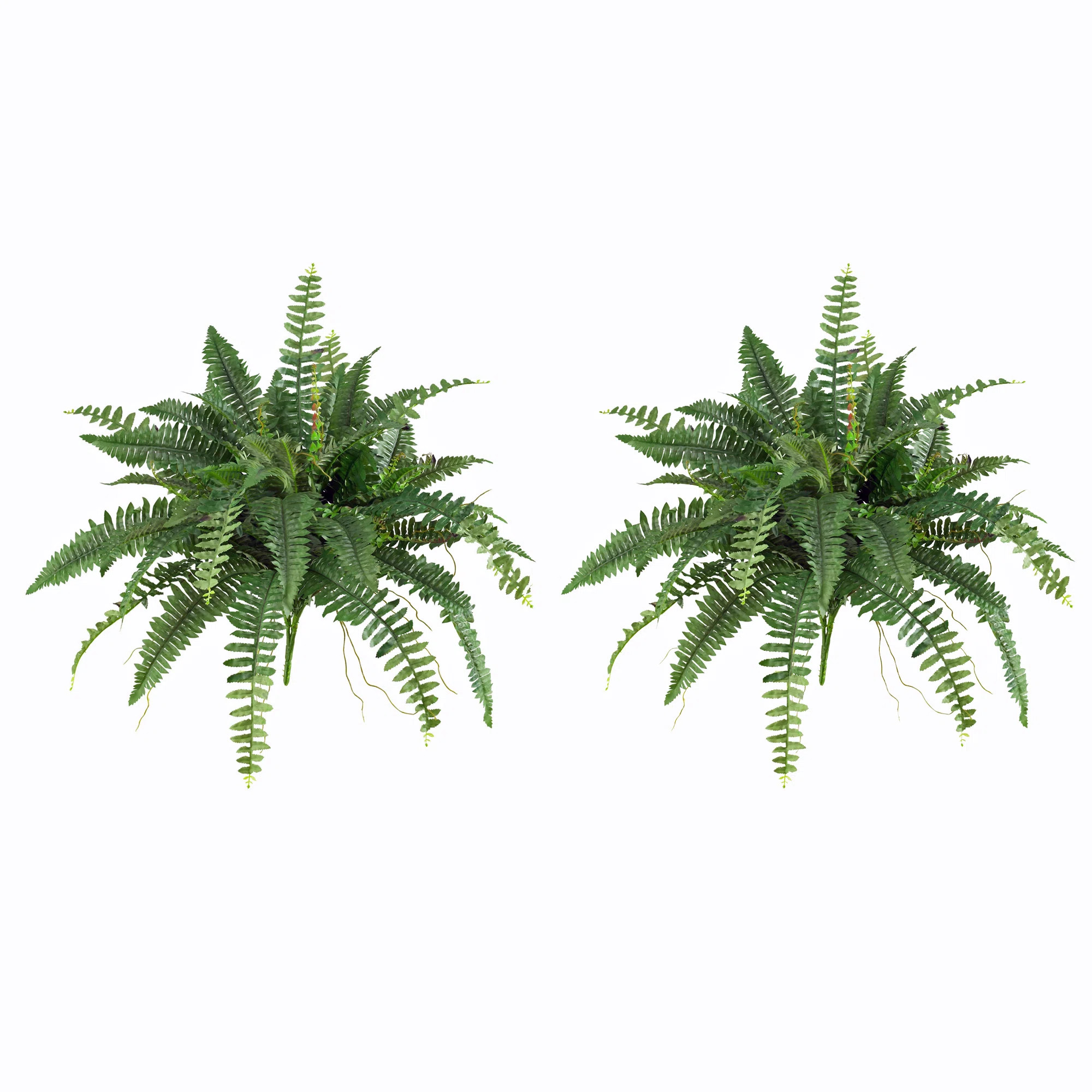 Faux Fern Plant (Set of 2) | Wayfair North America