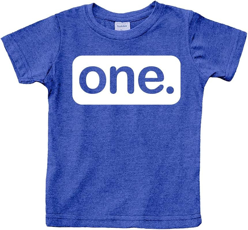 First Birthday Outfit boy 1st Birthday boy Gifts one Year Old Shirt Baby Boys | Amazon (US)