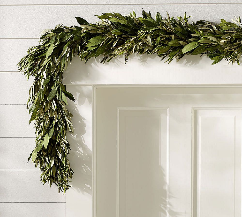 Live Olive Leaf and Myrtle Wreath & Garland | Pottery Barn (US)