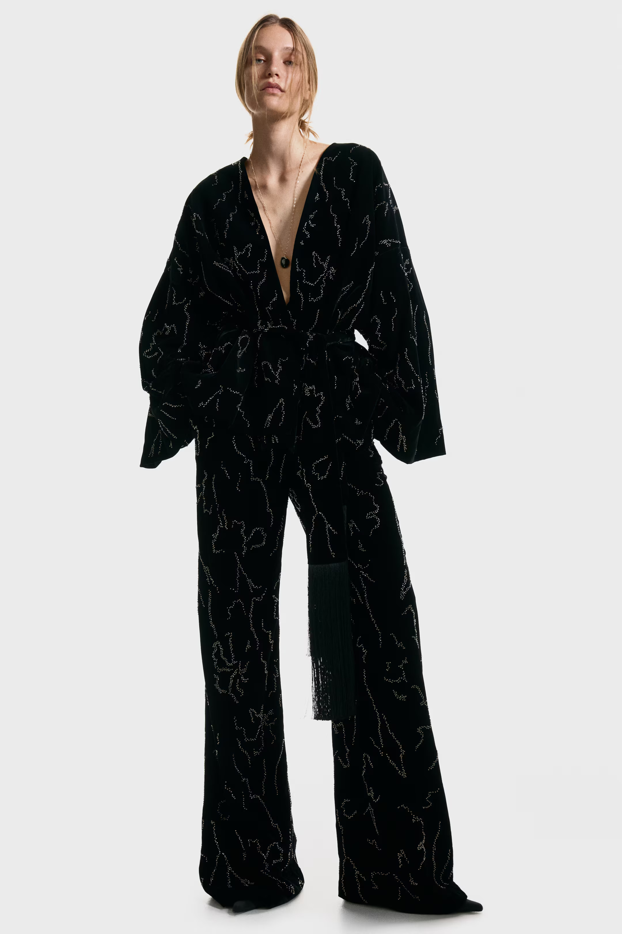 Embroidered Velvet Pants | H&M (US + CA)