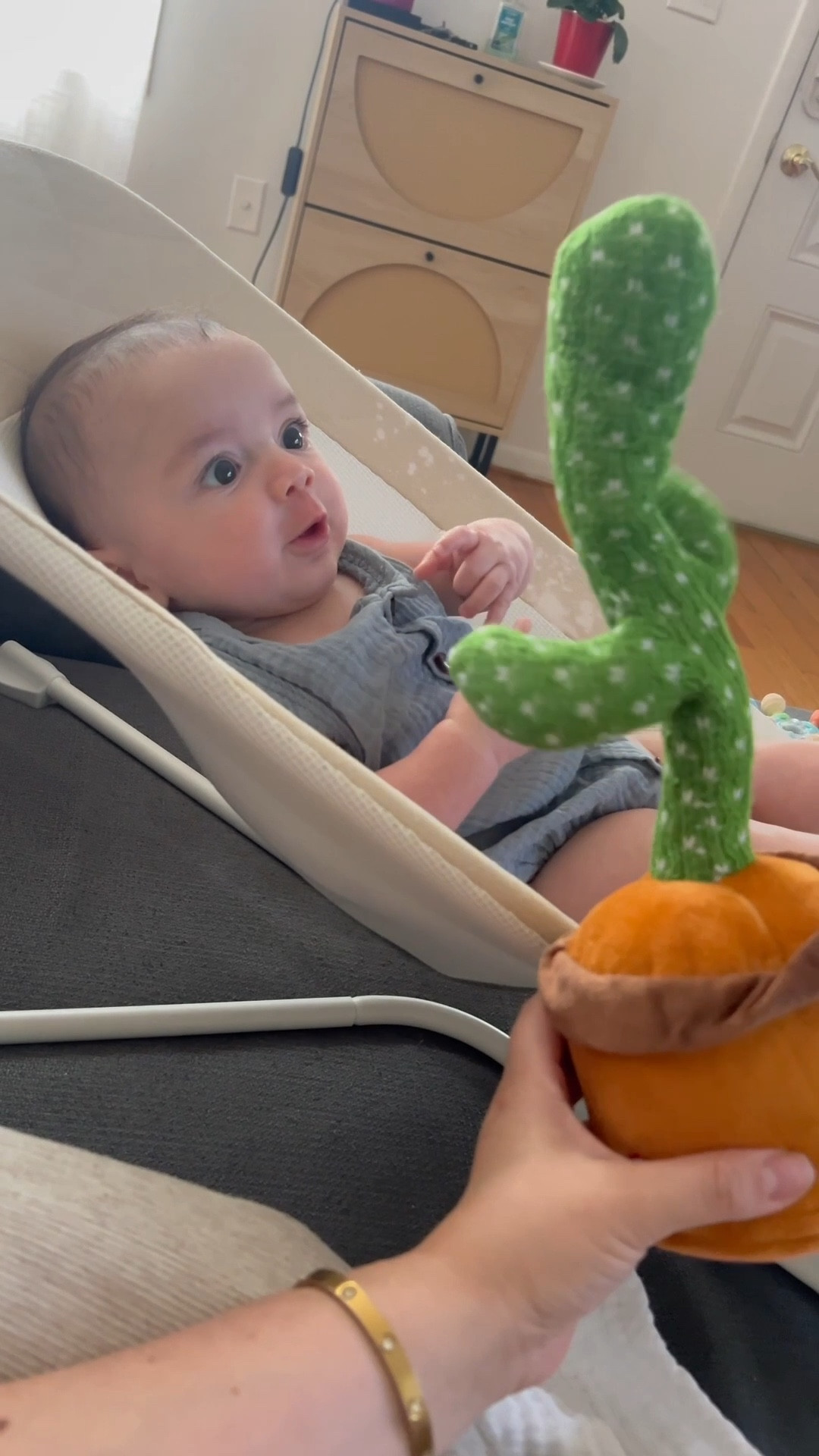 Dancing Cactus 💫

#asmr #asmrsounds #dancingcactus #baby #momlife #motherhood

#LTKKids #LTKBaby #LTKGiftGuide