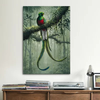 Resplendent Quetzal 2 by Harro Maass Graphic Art on Canvas | Wayfair North America